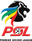 South African Premier Soccer League